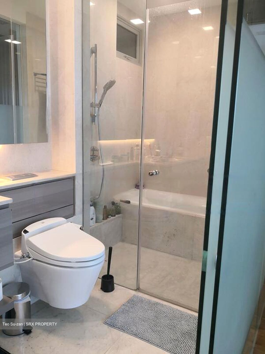 Martin Place Residences (D9), Condominium #455087851
